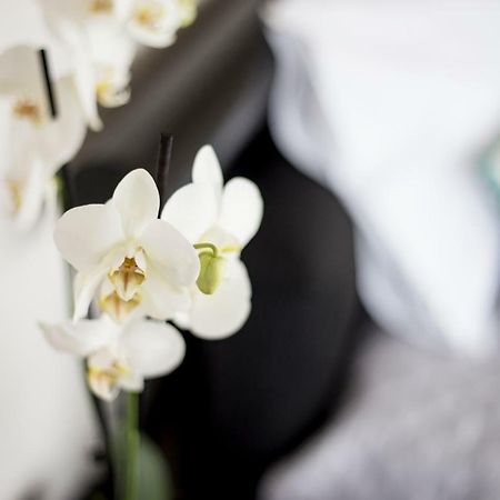 "Sea View"Loft Apartment Vila do Conde Luaran gambar